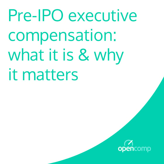 Pre-IPO Executive Compensation: What It Is & Why It Matters