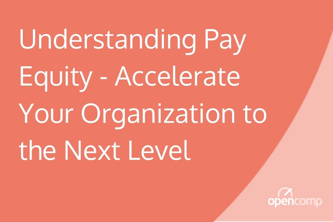Understanding Pay Equity - Accelerate Your Organization to the Next Level