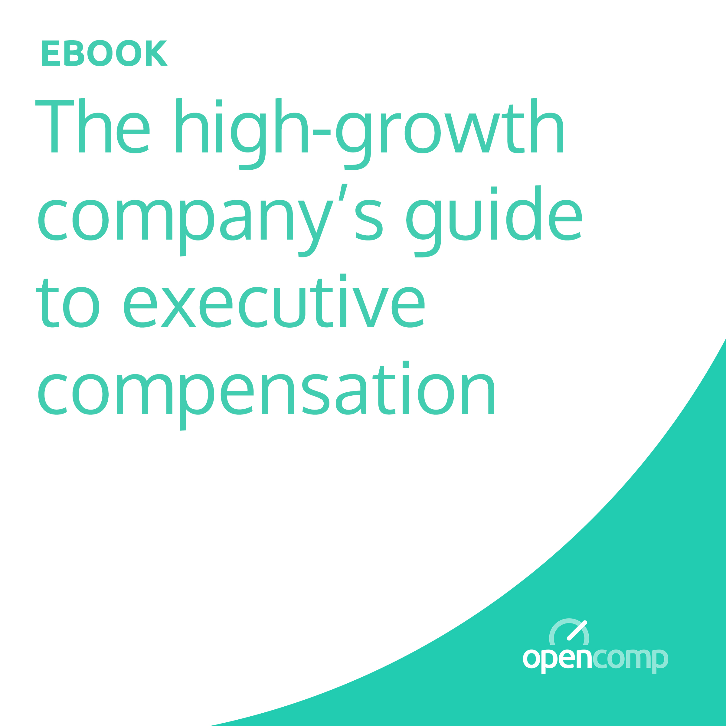 eBook: The High-Growth CEO Guide to Executive Compensation